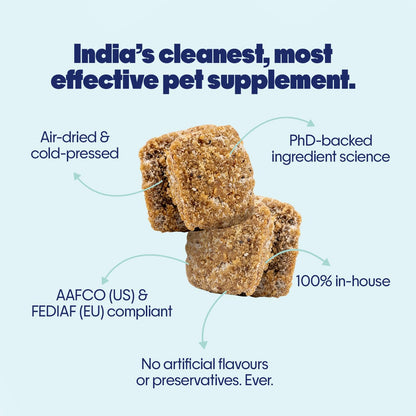Hope Pre & Probiotics Supplement for Dogs - 60 Chicken hoplets | Tasty Pet Chews with Hing for Absolute Gut Health, Gas, Itching, Scratch Relief | Coldpressed| Air-Dried | Honest Pet Co