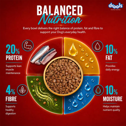 Drools Adult Dry Dog Food 1kg | Fish and Rice Flavour | Fish & Rice Formula | Gentle on Gut | Helps Maintain Strong Muscles and Vitality | Organic Chelated Minerals