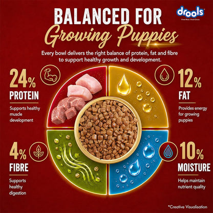 Drools Puppy Dry Dog Food 1kg | Meat and Milk Flavour | Supports Healthy Brain Development and Cognitive Function | Antioxidants | Chelated Minerals | Better Bioavailability of Minerals
