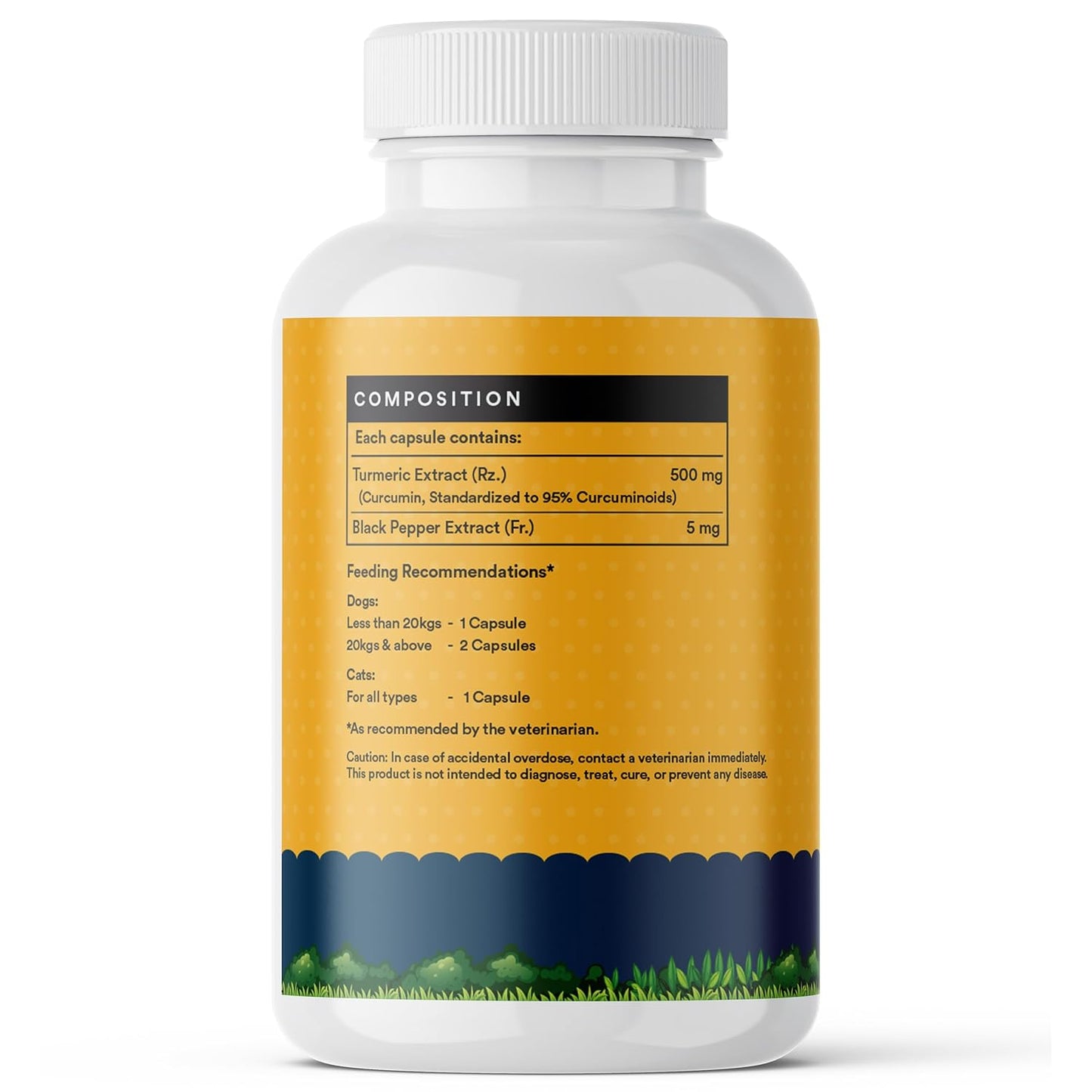 INLIFE Curcumin with Piperine for Dogs Cats and Pets 95% Curcuminoids for Immunity Liver Function and Ease Inflammation- 60 Vegetarian Capsules