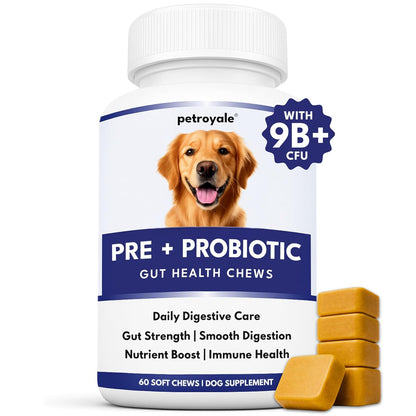 Petroyale Dog Pre+ Probiotic & Prebiotic Chews – Probiotics for Dogs – Dog Gut Health Supplement – Relieves Diarrhea, Improves Digestion & Immunity – 60 Soft Chews