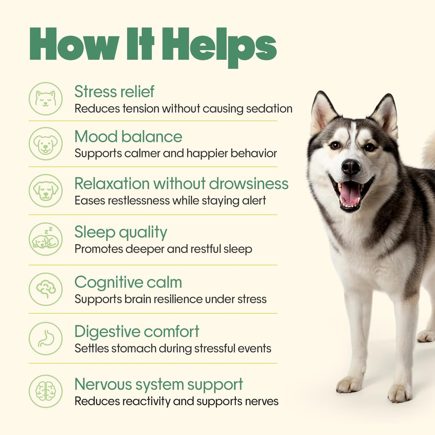 Hope Calming Chews for Dogs - 30 Vegan Hoplets | Pet Chews for Aggression, Stress & Anxiety Relief | with Ashwagandha, Magnesium | Cold Pressed, Hypoallergenic| Honest Pet Co