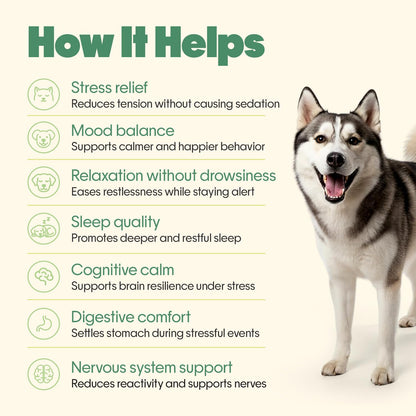 Hope Calming Chews for Dogs - 30 Vegan Hoplets | Pet Chews for Aggression, Stress & Anxiety Relief | with Ashwagandha, Magnesium | Cold Pressed, Hypoallergenic| Honest Pet Co