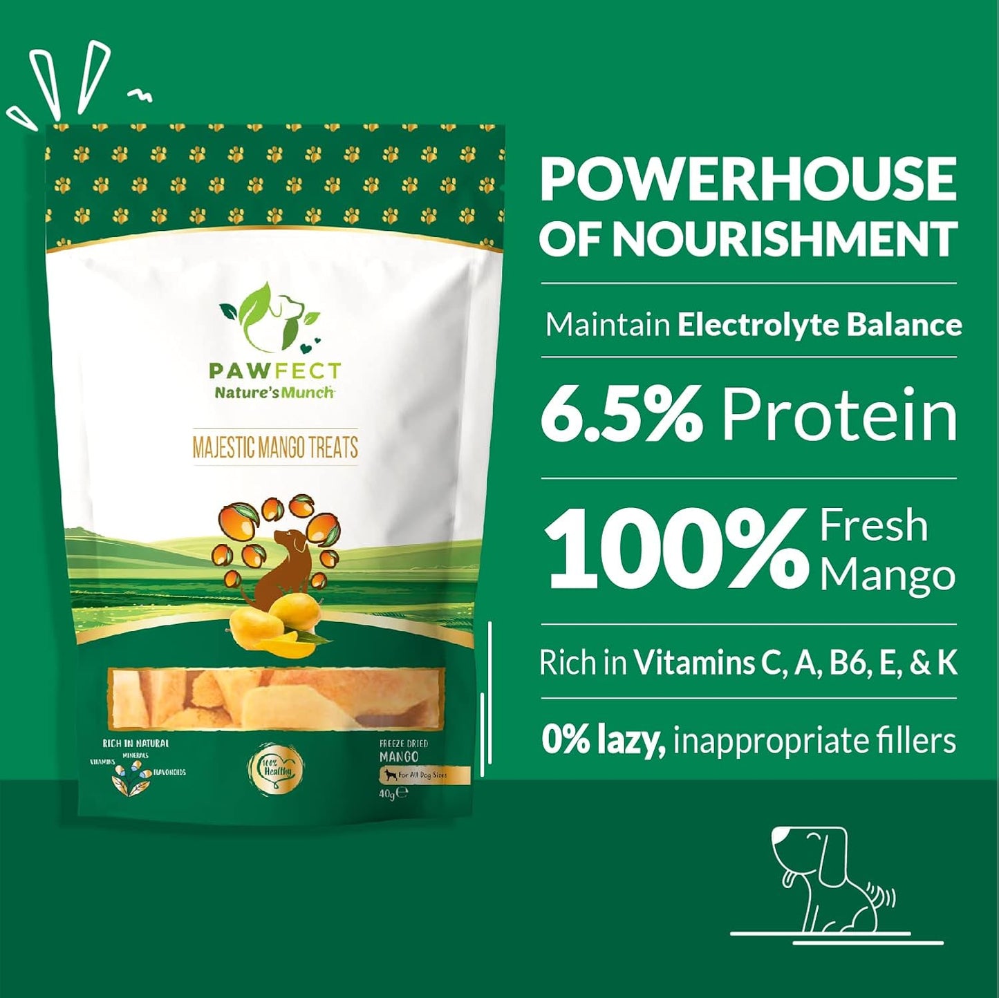 Pawfect Nature's Munch Freeze-Dried Majestic Mango Treats for Dogs - 100% Natural - Hypoallergenic - Grain-Free Veg Treats - Promotes Shiny Coat - Supports Healthy Metabolism (40g/1.41oz)