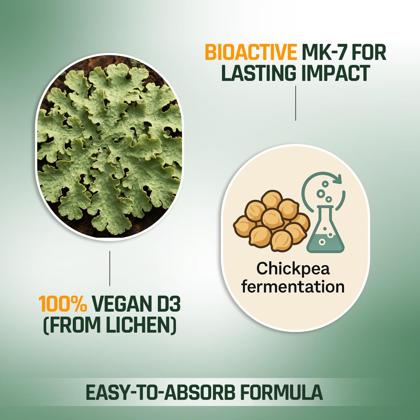 Product advertisement with lichen and chickpea fermentation icons on a green background