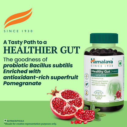 Himalaya Healthy Gut Probiotic Gummies bottle with pomegranate on a green background