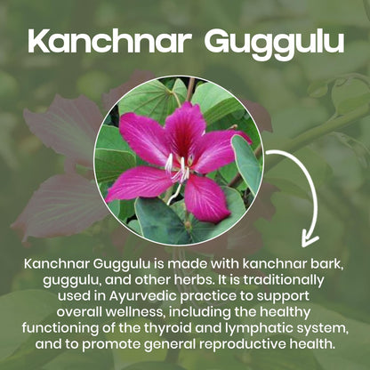 Kanchnar Guggulu - Ayurvedic Supplement For Thyroid | Hormonal Balance For Women | Reduces Joint and Muscles pain | For Swollen Lymph Nodes | 60 Tablets (Pack of 1)
