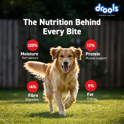 Drools Puppy & Adult Dog Treats Sticks 100g | Blueberry Flavour | Rich in Protein | No Artificial Preservatives | Best for Training & Bonding | Formulated in USA | Premium Treats