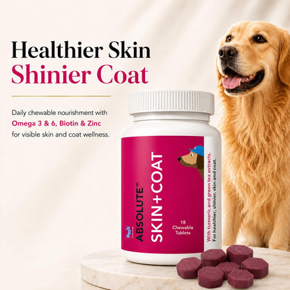 Drools Absolute Dog Supplement Tablet, Skin + Coat 400g 110 Pieces Jar | Turmeric Flavour | Supports Skin & Food Sensitivity | Nutrients Rich Botanical