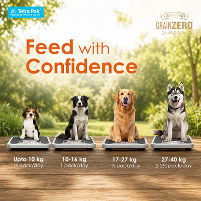 Grain Zero Dog Fresh Food Tetra Pak Real Chicken, Egg & Pumpkin, for Adult & Puppy, 350g | Supports Joint & Health | Immune System | Anti Inflammatory Properties | Ready to Serve | One Pack One Meal