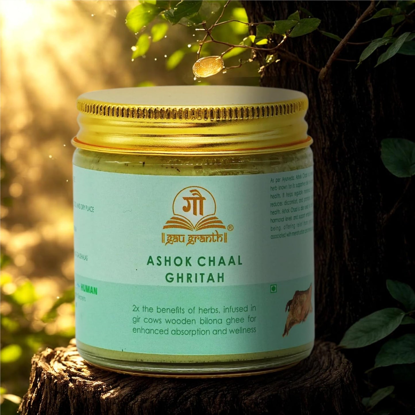 cow ved GauGranth Ashok Chal A2 Gir Cow Ghee – 100ml (Pack of 1) | Wooden Bilona Process | Ayurvedic Ghee Enriched with Ashok Chal Herb for Blood Pressure Regulation, Hormonal Balance, Digestive & Skin Health | Glass Jar Packaging