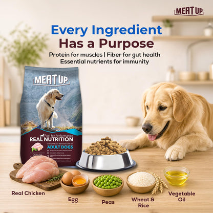 Meat Up Adult Dry Dog Food 1.2kg | Chicken Flavour | Healthy Skin & Coat | Antioxidants | Enriched with Vitamins & Minerals
