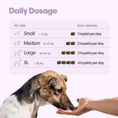 Hope Skin & Coat Supplement for Dogs 30 Chicken hoplets | Pet Chews for Skin Allergies, Itching & Scratching Relief | Biotin, Collagen, Omega 3 & 6 | Cold Press Hypoallergenic | Honest Pet Co