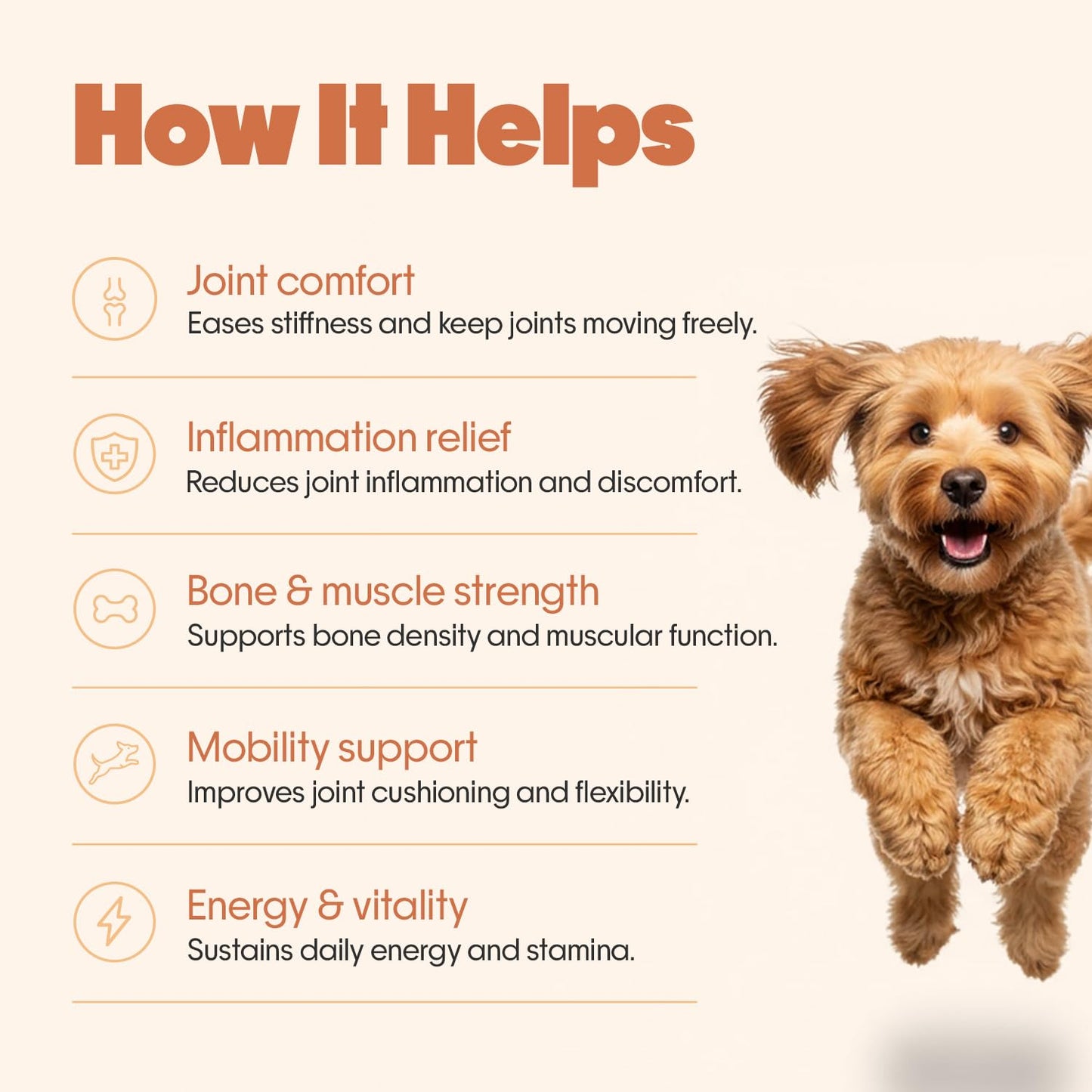 Hope Hip & Joint Health Supplement Dogs 30 Vegan hoplets | Pet Chews with Glucosamine, Chondroitin, MSM, Turmeric| Cold-Pressed | Air-Dried | Hypoallergenic | Dog Supplement |Honest Pet Co