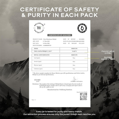 Wellbeing Nutrition Pure & Natural Himalayan Shilajit Original Resin 20g for Strength, Stamina & Performance | Shilajit Resin for Men & Women with 75% Fulvic Acid & 85 Trace Minerals | Lab Tested