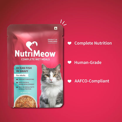 NutriMeow Oceanfish in Gravy Wet Food Pouch for Adult Cats - 80 gm | Nutritious, Protein-Packed & Delicious Cat Meal | Balanced Wet Cat Treats for Persian Cats & All Breeds