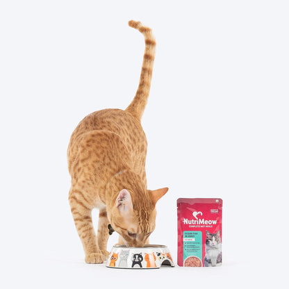 NutriMeow Oceanfish in Gravy Wet Food Pouch for Adult Cats - 80 gm | Nutritious, Protein-Packed & Delicious Cat Meal | Balanced Wet Cat Treats for Persian Cats & All Breeds
