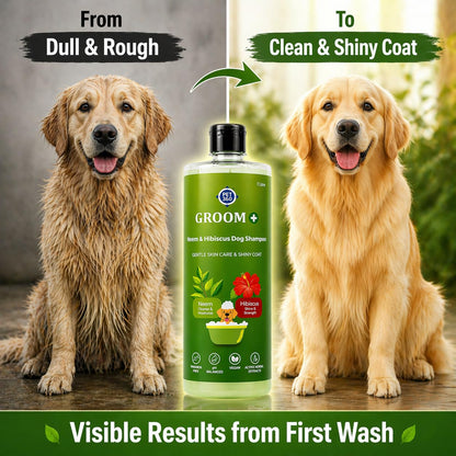PET360 Groom+ Neem Hibiscus Oatmeal Puppy & Dog Shampoo 1000ml | Vegan Cruelty-Free | Non-Toxic pH Balanced | Phthalate & Paraben Free | Natural Pet Grooming