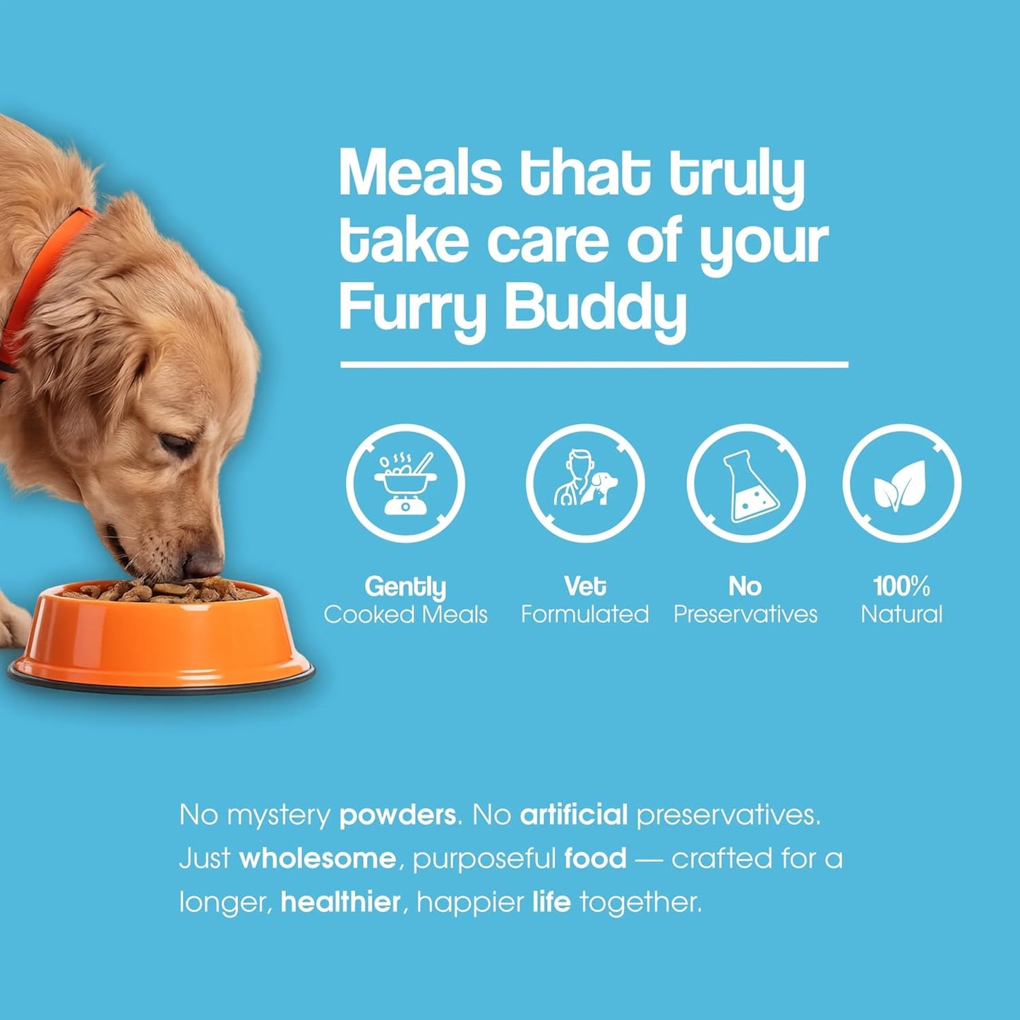 Wuuff&Meow Gut Guard Gently Cooked Dog Food | Digestive Health Vet-Formulated Functional Food for Dogs Powered By BIOFIBER™ with Arbocel® Plant-Based Fiber | 100g