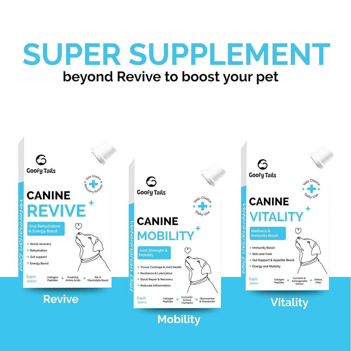 Goofy Tails Canine Vitality+ (100Mlx1Pack) Dog Immuity Booster, Dog Coat Supplement, Gut Supplement, Boosted with Curcuminoids, Ashwagandha, Prebiotics & Collagen for Dogs