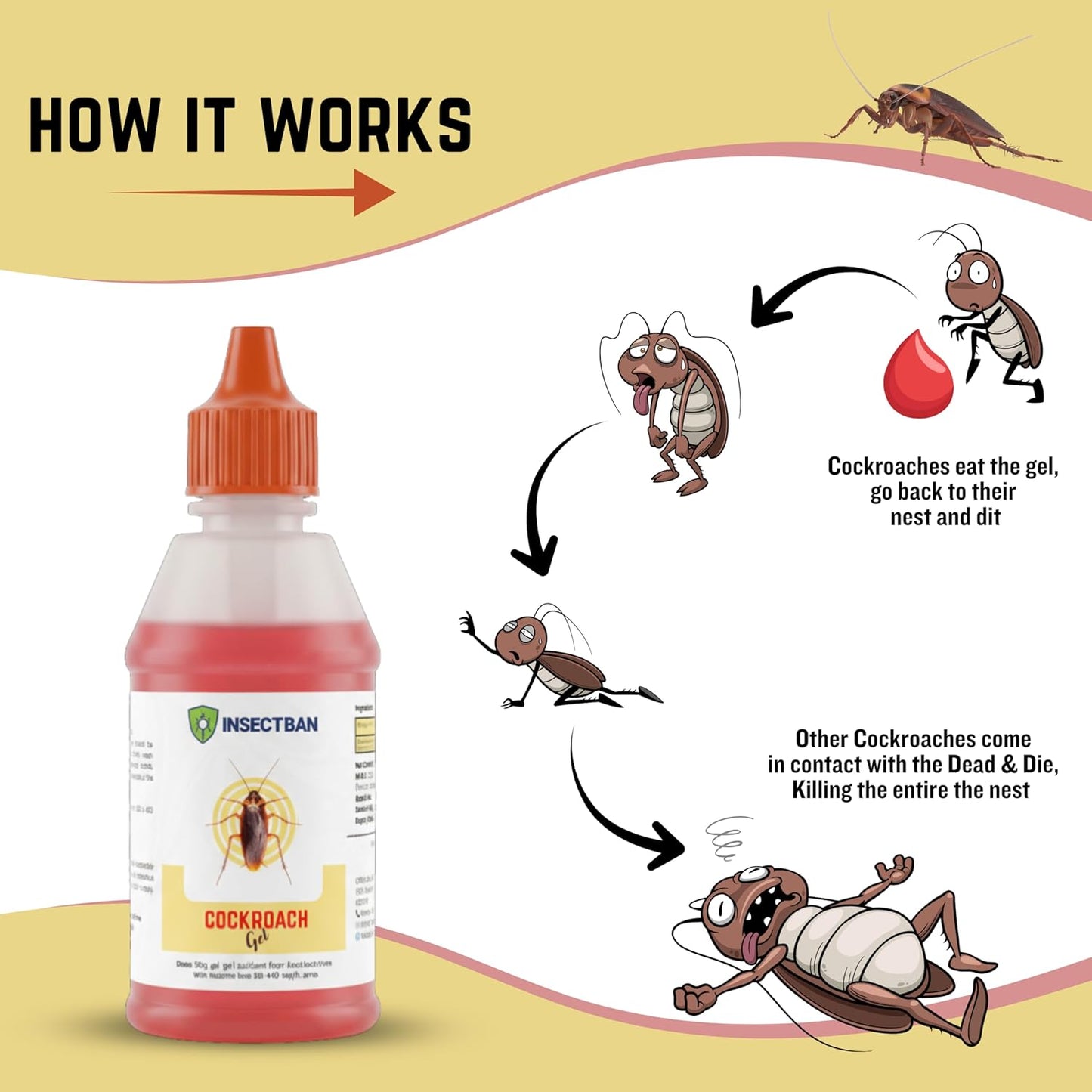 Cockroach & Ant Killer Gel for Home | Office | Garden | Advanced | Long-Lasting | Repellent - Pack Of 1 (80grams)