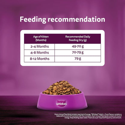 Whiskas Junior Mother Cat & Kitten (2-12 Months) Dry Cat Food, Mackerel Fish Flavour, 1.1 kg, Contains 41 Essential Nutrients, Complete & Balanced Nutrition for Mother Cats & Kittens