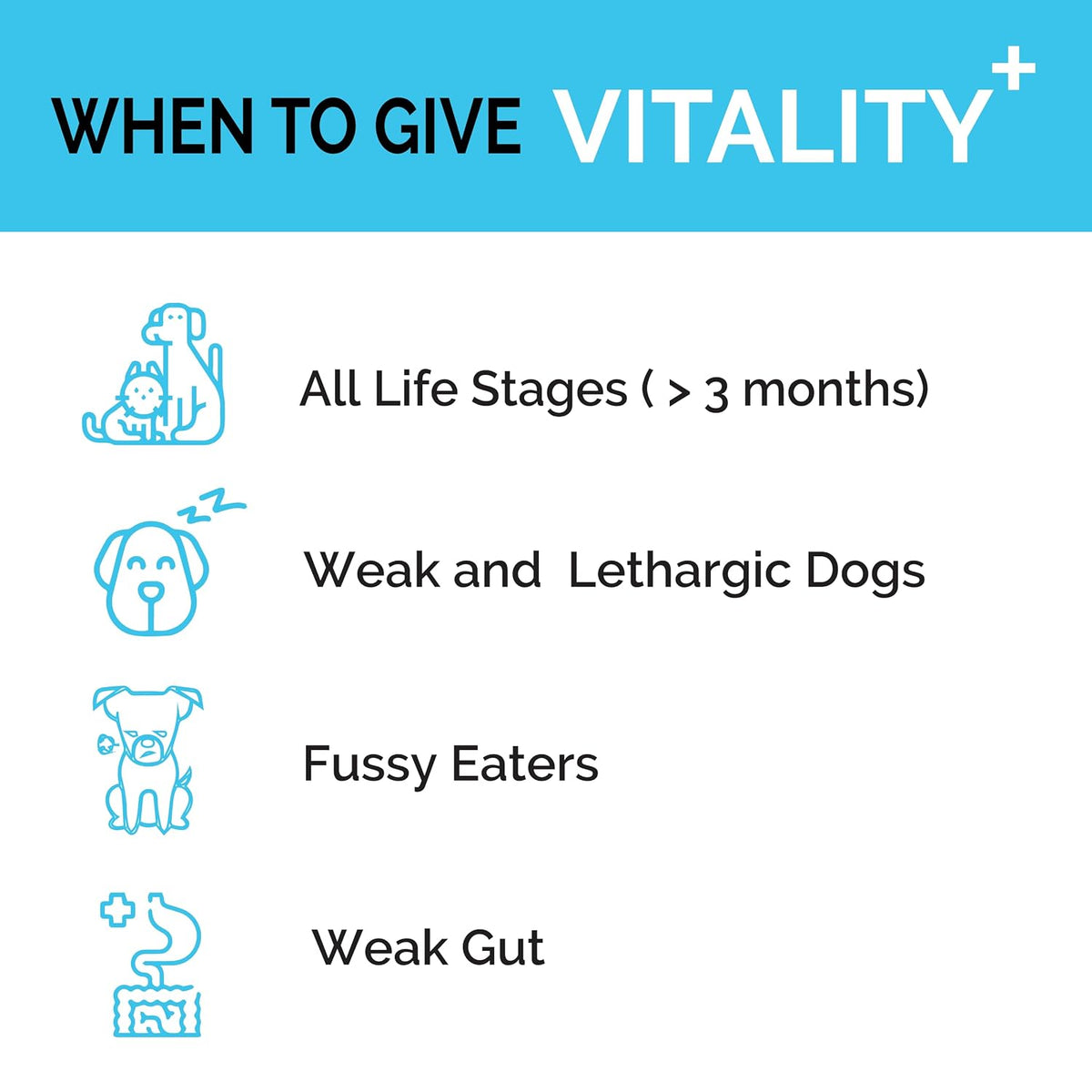 Goofy Tails Canine Vitality+ (100Mlx1Pack) Dog Immuity Booster, Dog Coat Supplement, Gut Supplement, Boosted with Curcuminoids, Ashwagandha, Prebiotics & Collagen for Dogs