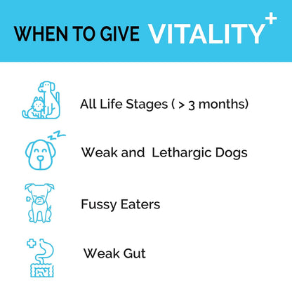 Goofy Tails Canine Vitality+ (100Mlx1Pack) Dog Immuity Booster, Dog Coat Supplement, Gut Supplement, Boosted with Curcuminoids, Ashwagandha, Prebiotics & Collagen for Dogs