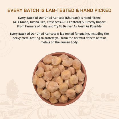 Nutty Organics Dried Apricots Jardalu 250GM | Nutritious | Rich in Iron | Tasty & Healthy Nuts Dry Fruits | Rich in Protein | Gluten Free