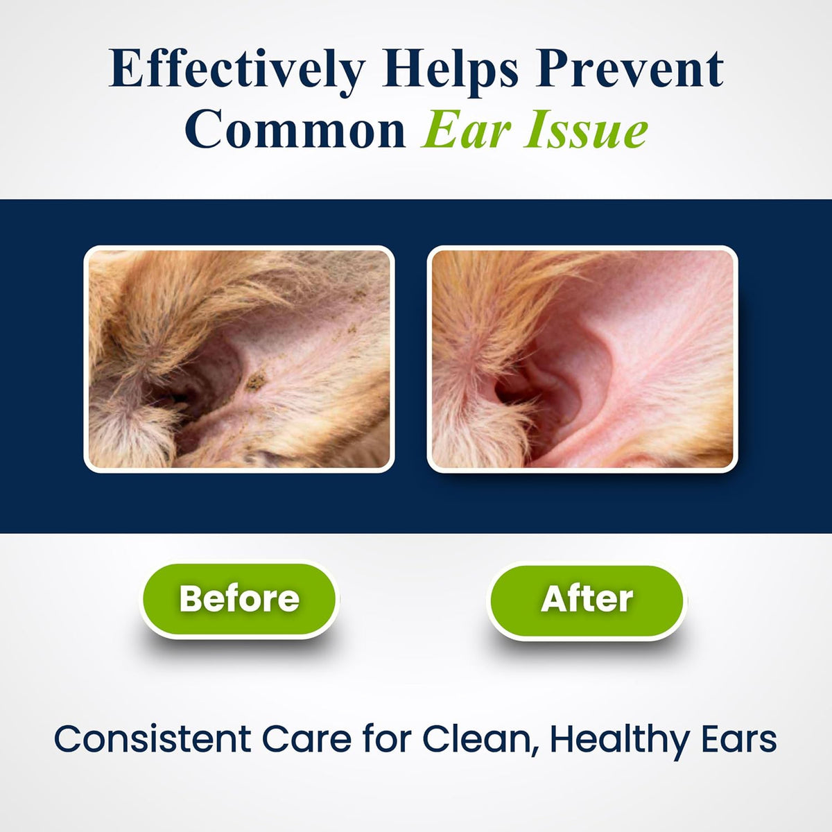 Petroyale Ear Cleanser for Dogs and Cats | Effective & Gentle Formula | Remove Dirt, Excess Wax, Mites | Improves Hearing | Relives Itching | Dog Ear Cleaner Solution with Tris EDTA Buffer - 100ml