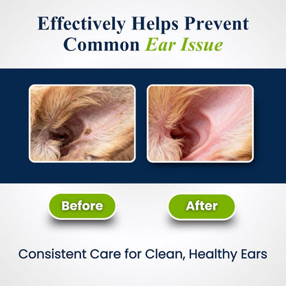 Petroyale Ear Cleanser for Dogs and Cats | Effective & Gentle Formula | Remove Dirt, Excess Wax, Mites | Improves Hearing | Relives Itching | Dog Ear Cleaner Solution with Tris EDTA Buffer - 100ml