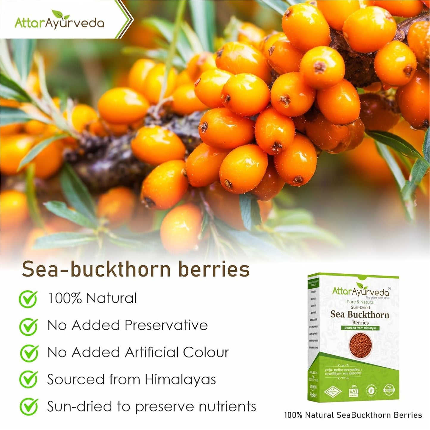 Attar Ayurveda Sea buckthorn berry 100 grams (Sun-dried) | Sourced from Himalyas | Rich in Vitamin C & Antioxidants | Natural Superfood for Immunity & Skin Health | 100% Pure & No Added Sugar