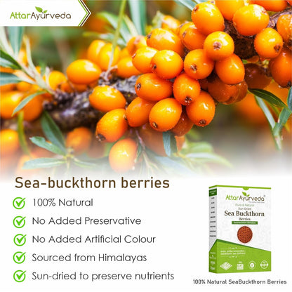 Attar Ayurveda Sea buckthorn berry 100 grams (Sun-dried) | Sourced from Himalyas | Rich in Vitamin C & Antioxidants | Natural Superfood for Immunity & Skin Health | 100% Pure & No Added Sugar