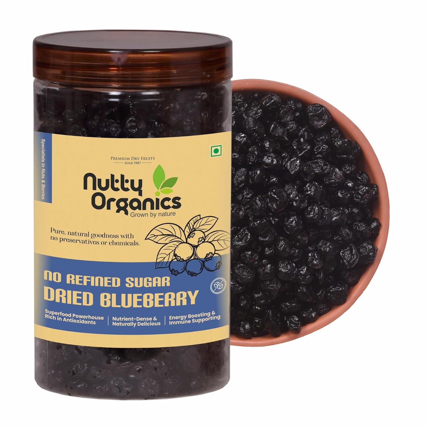 Nutty Organics No Refined Sugar Dried Blueberry, 100Gram, No Additives, 100% Pure & Healthy Snack For All Age (Dried Fruit)