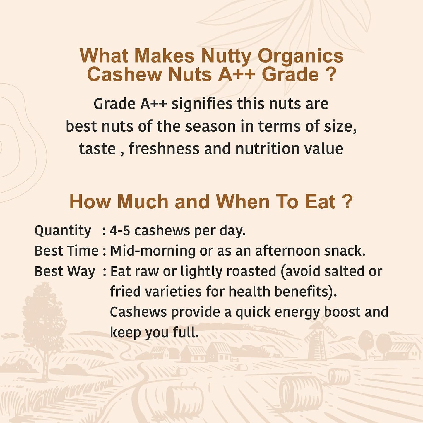 Nutty Organics Whole Cashew Nuts 250 Gm | Hand Selected Jumbo | Nutritious & Delicious Nuts | Natural & Crunchy | Healthy Dry Fruit Snack