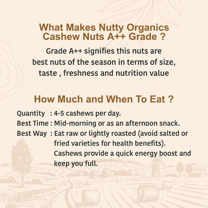 Nutty Organics Whole Cashew Nuts 250 Gm | Hand Selected Jumbo | Nutritious & Delicious Nuts | Natural & Crunchy | Healthy Dry Fruit Snack