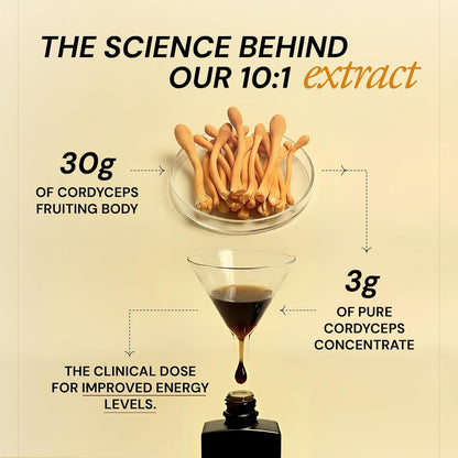 Ace Blend Energy Shroom Concentrate | Cordyceps Mushroom Extract Liquid | 30ml, 30 servings | 10:1 Concentrate | Ultrasonic Extracted Mushroom Blend | Daily Supplement | For Engery & Stamina