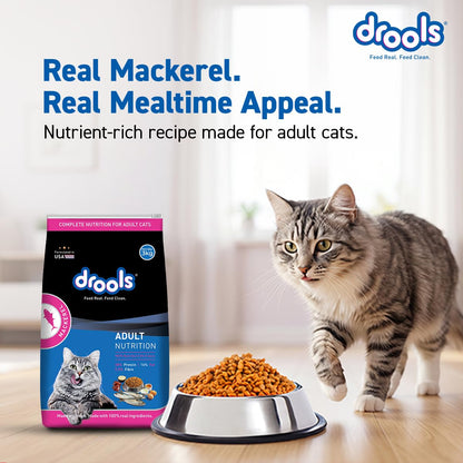 Drools Adult Dry Cat Food 1.2kg Pack | Mackerel Flavour | Enriched with Essential Nutrients | Supports Skin & Coat | Complete Nutrition | Aids Digestion | Promotes Growth