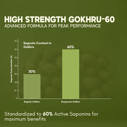 Bar chart comparing saponin content in regular and Rxayam Gokhru with a focus on high strength Gokhru-60.