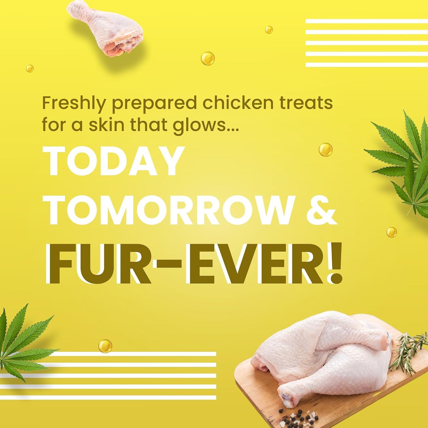 BARK OUT LOUD - Fresh Chicken Dog Treats, Hemp Chewstix with Omega 3 & Vitamin E for Healthy Skin & Coat, Suitable for Dogs & Cats of All Life Stages, 100g (Pack of 1)