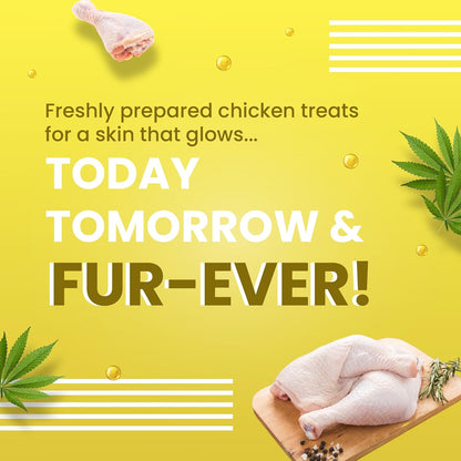 BARK OUT LOUD - Fresh Chicken Dog Treats, Hemp Chewstix with Omega 3 & Vitamin E for Healthy Skin & Coat, Suitable for Dogs & Cats of All Life Stages, 100g (Pack of 1)