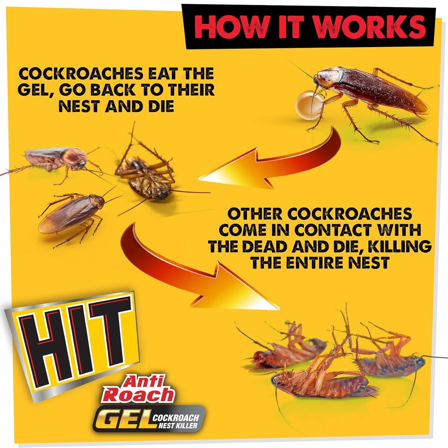 Hit Anti Roach Gel - Cockroach Killer (20G) | Kitchen Safe | Odourless | Fast And Convenient