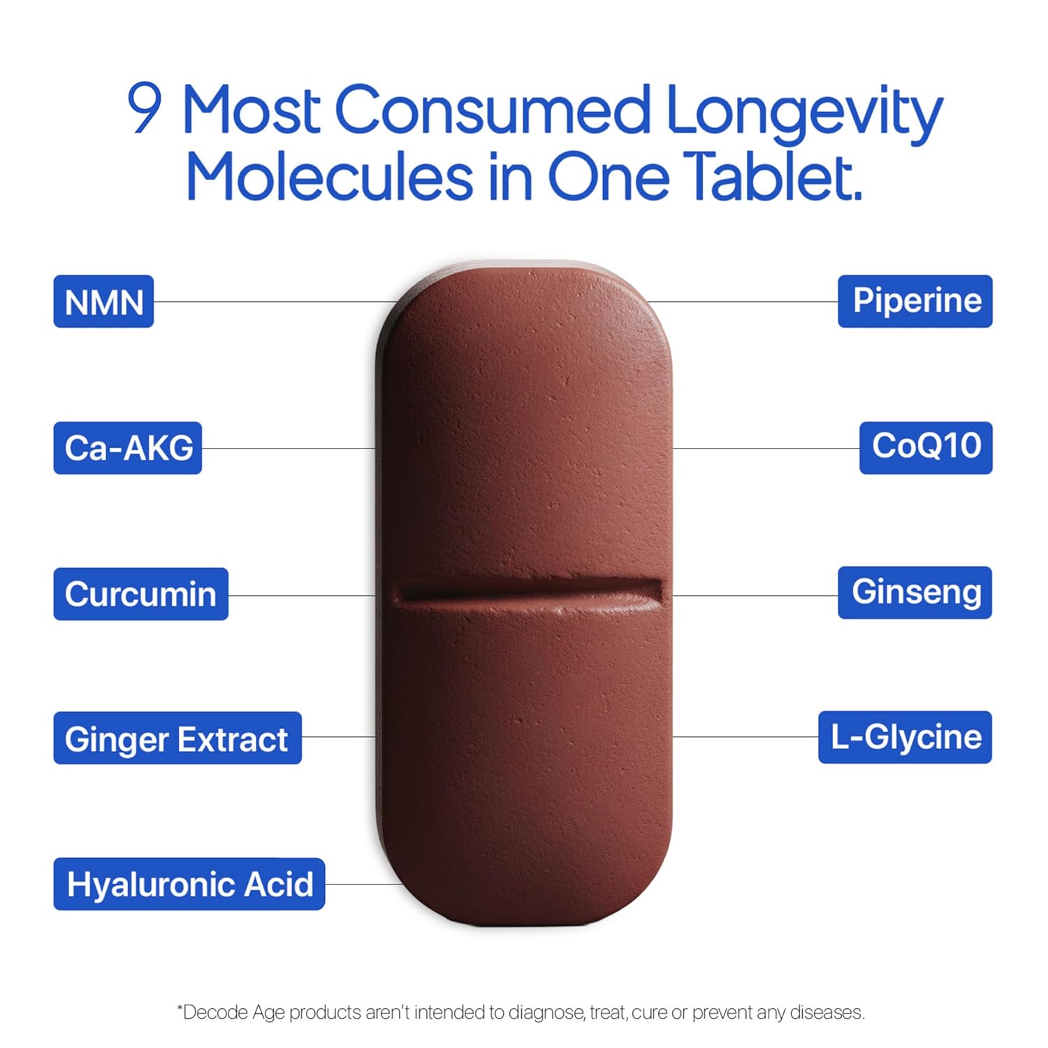 Brown tablet with labeled components on a white background