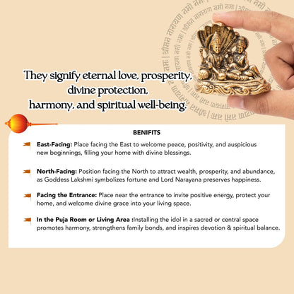 100% Pure Brass Vishnu Laxmi Murti on Sheshnag Sarp for Puja | Laxmi Narayan Murti for Office Desk, Home Decor | Lakshmi Narayan Idol for Housewarming Wedding Gifting