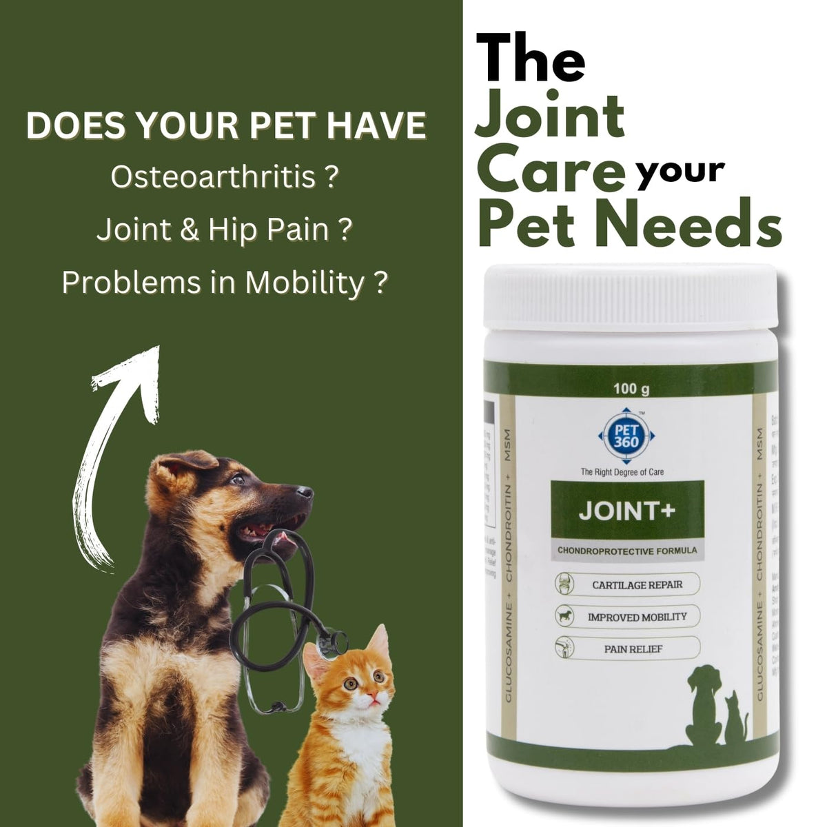 PET360 Joint+ Chondroprotective Formula - 100 gm | Hip, Joints, Cartilage Supplement for Dogs & Cats for Improved Mobility & Pain Relief with Glucosamine, Chondroitin, MSM | Suitable for All Breeds