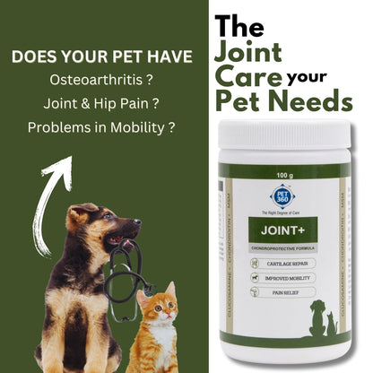 PET360 Joint+ Chondroprotective Formula - 100 gm | Hip, Joints, Cartilage Supplement for Dogs & Cats for Improved Mobility & Pain Relief with Glucosamine, Chondroitin, MSM | Suitable for All Breeds