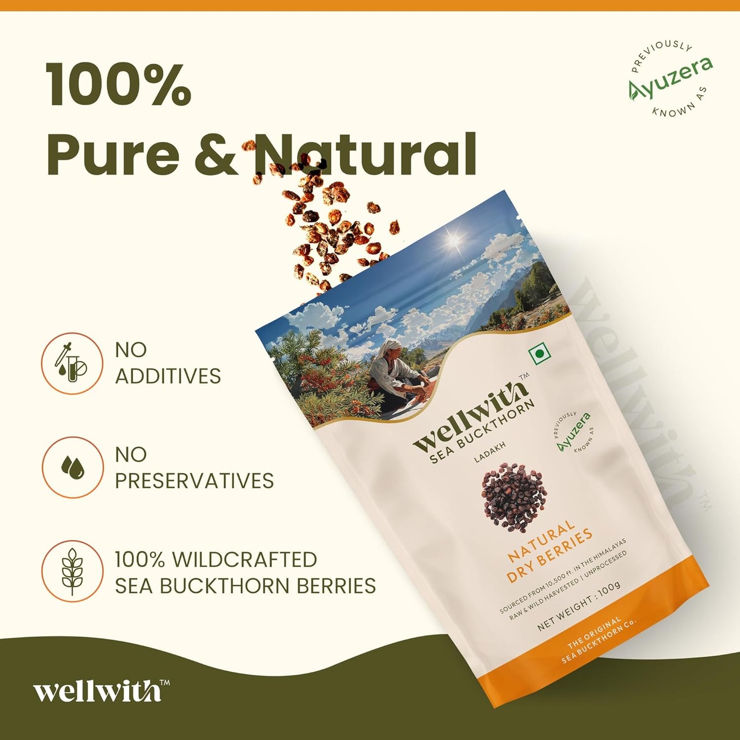 Wellwith by Ayuzera Sea buckthorn Dry Berry 100g – Natural, Sun-Dried, Rich in Omega 3,6,7 and 9, & Vitamin C, E | Dried Seabuckthorn Berries | No Added Sugar or Preservatives