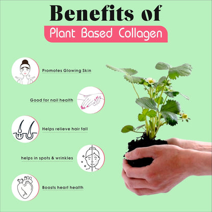 Benefits of plant-based collagen with a hand holding a plant on a green background