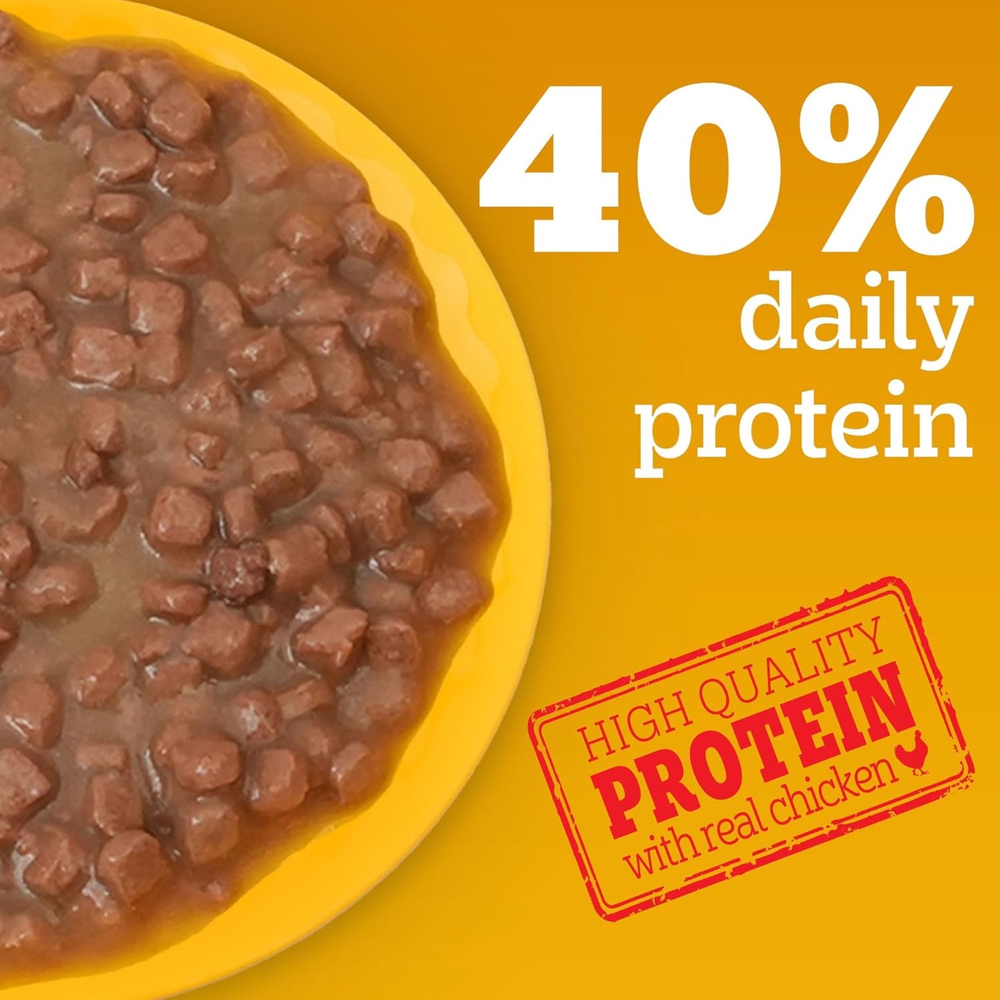 Pedigree Puppy Wet Dog Food, Chicken & Liver Chunks in Gravy, 70 g, Complete & Balanced Meal for Puppies