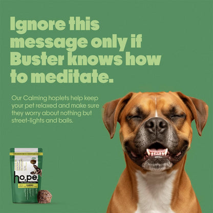 Hope Calming Chews for Dogs - 30 Vegan Hoplets | Pet Chews for Aggression, Stress & Anxiety Relief | with Ashwagandha, Magnesium | Cold Pressed, Hypoallergenic| Honest Pet Co